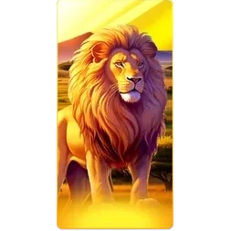 Lion
Safari